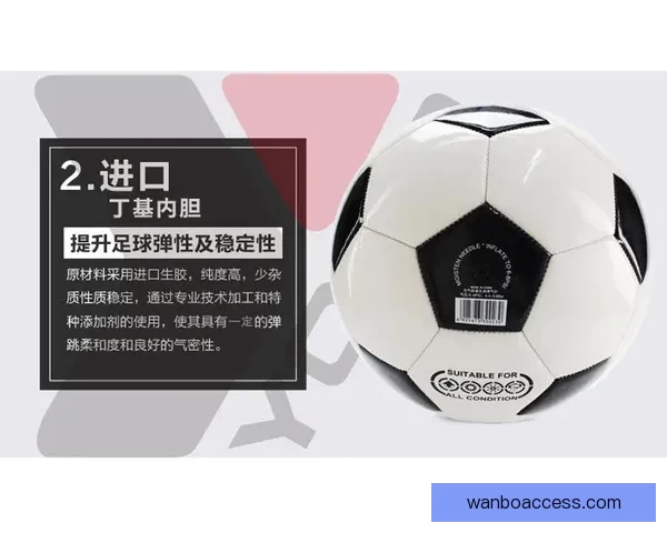 世界杯竞猜稳定平台全攻略让你轻松赢取高额奖金