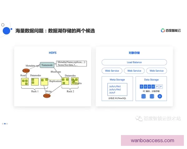 开云娱乐全方位体验感受与使用流程详解分享